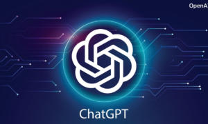 Shielding Your Privacy: Best Practices for Interacting with ChatGPT