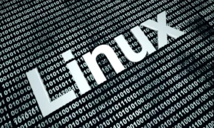 Mastering Linux Operating System Best Cyber Security Course in Delhi - recon cyber security